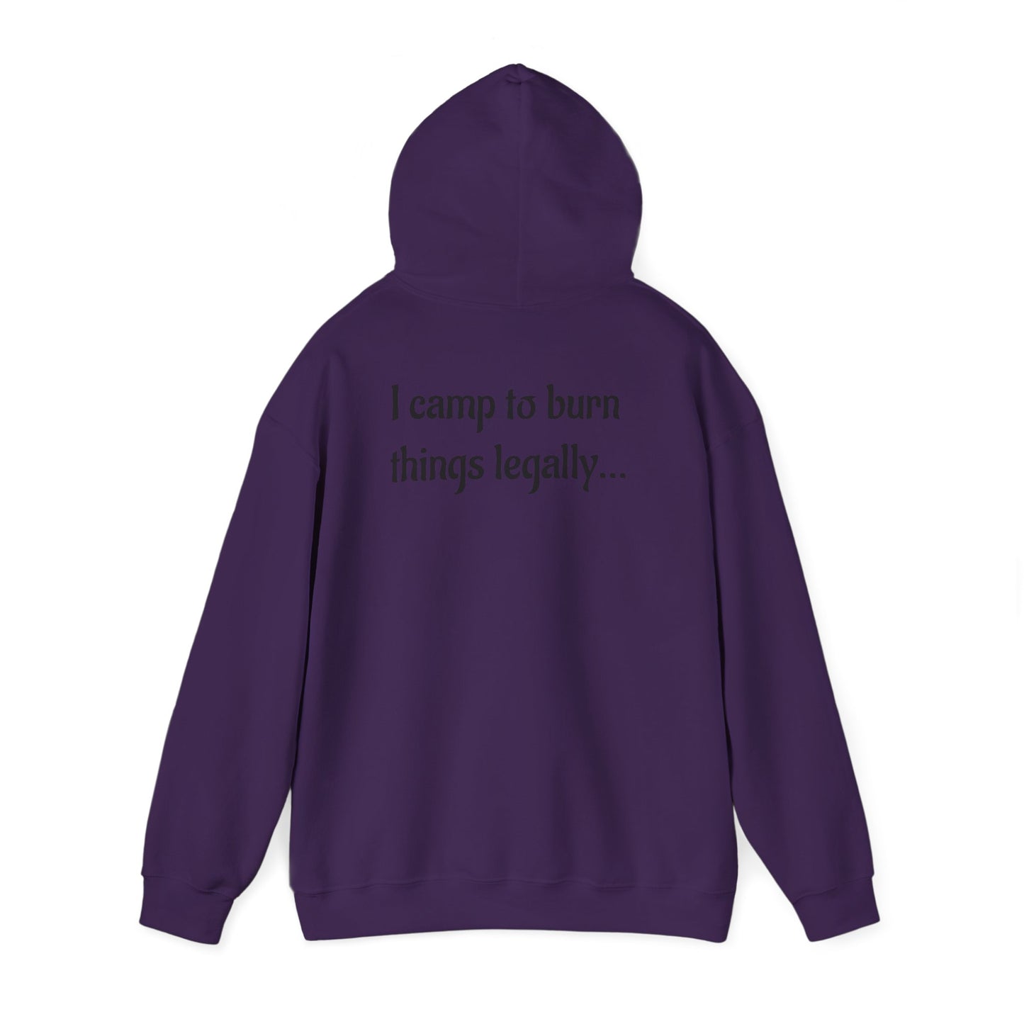 Colorful Campfire Hoodie with Fun Quote - Cozy Unisex Sweatshirt for Camping Lovers, Outdoor Adventure Gear, Unique Gift Idea