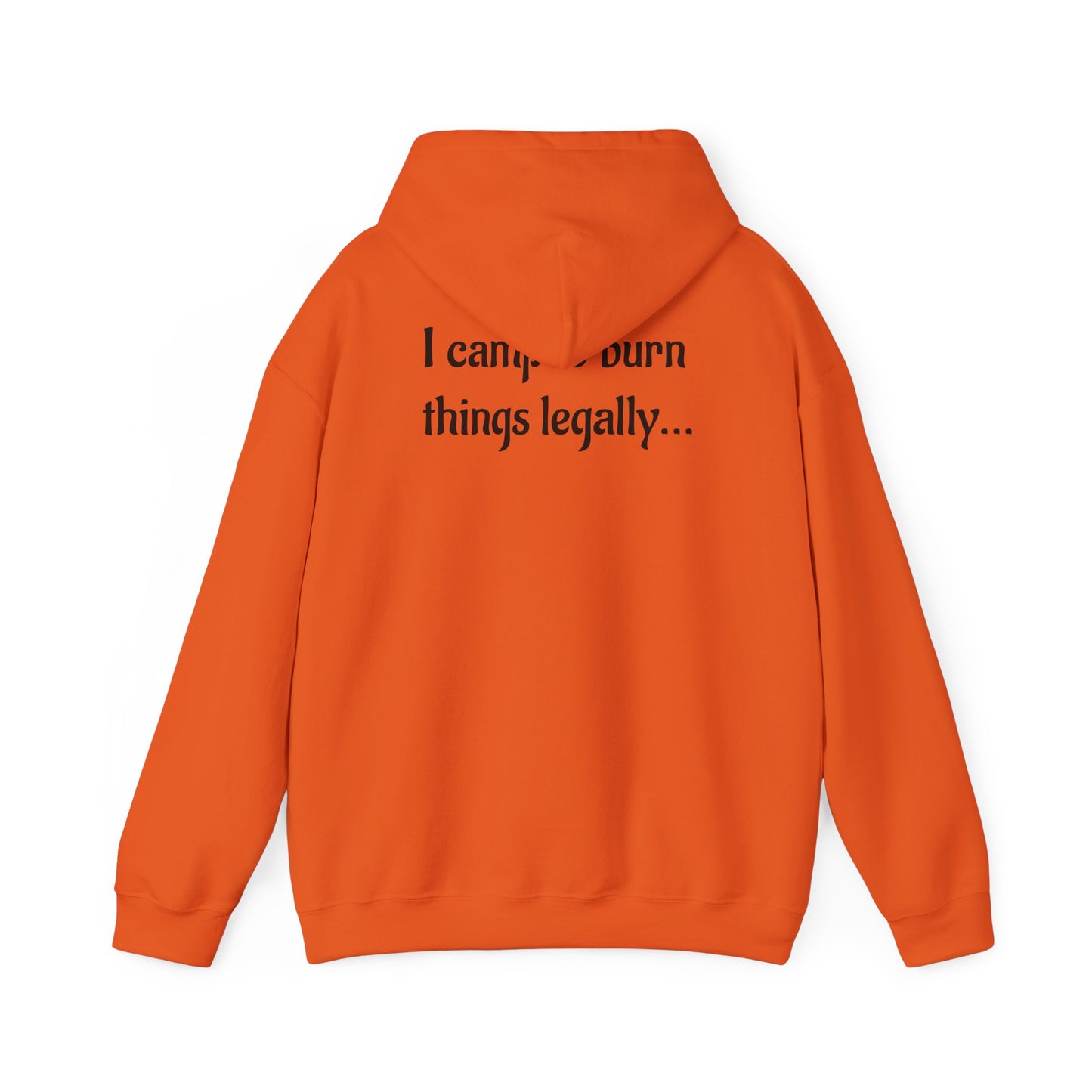 Colorful Campfire Hoodie with Fun Quote - Cozy Unisex Sweatshirt for Camping Lovers, Outdoor Adventure Gear, Unique Gift Idea