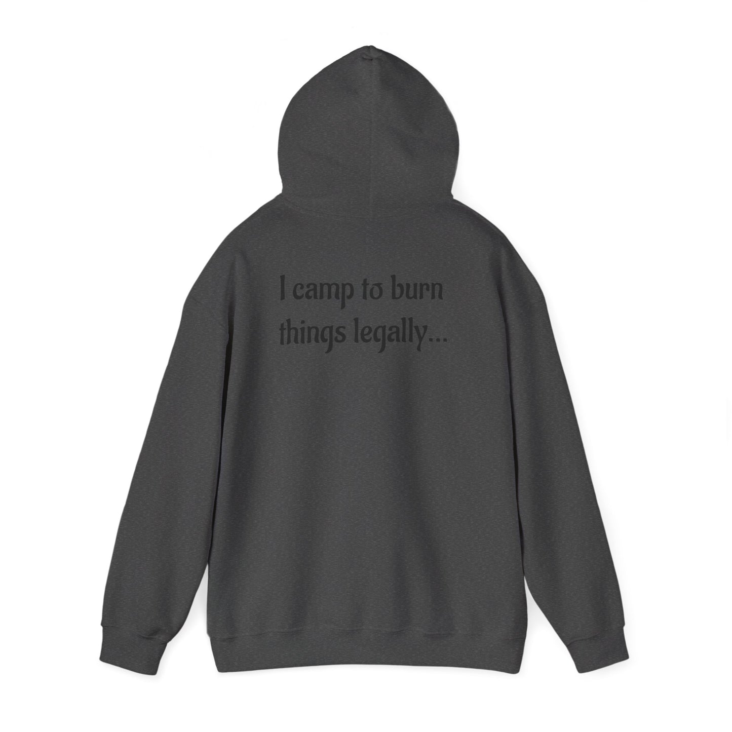 Colorful Campfire Hoodie with Fun Quote - Cozy Unisex Sweatshirt for Camping Lovers, Outdoor Adventure Gear, Unique Gift Idea