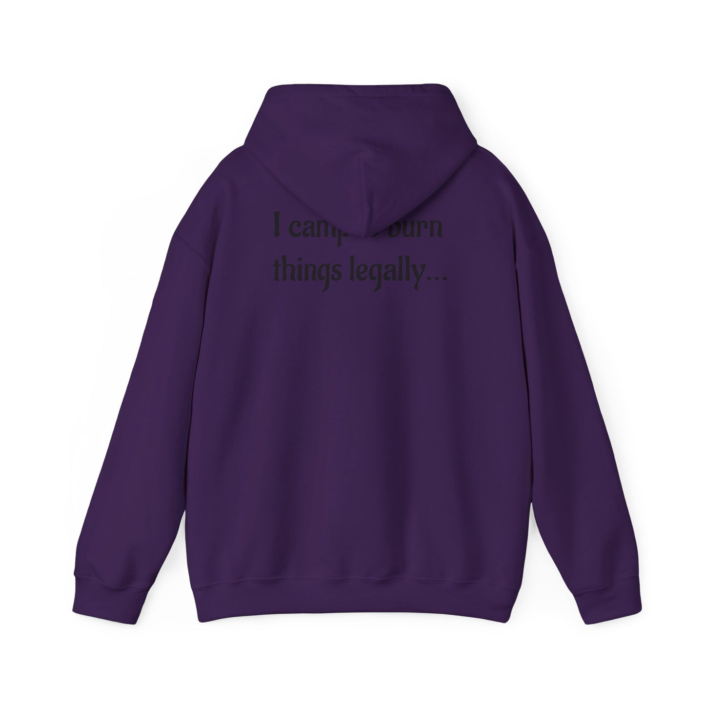 Colorful Campfire Hoodie with Fun Quote - Cozy Unisex Sweatshirt for Camping Lovers, Outdoor Adventure Gear, Unique Gift Idea