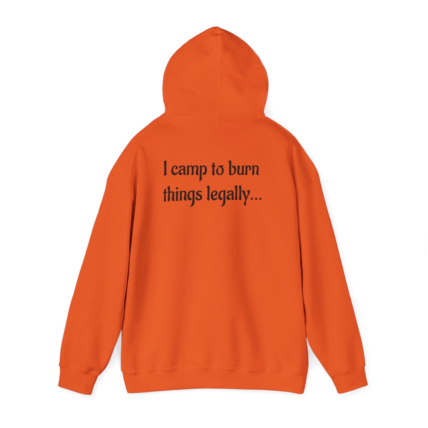 Colorful Campfire Hoodie with Fun Quote - Cozy Unisex Sweatshirt for Camping Lovers, Outdoor Adventure Gear, Unique Gift Idea