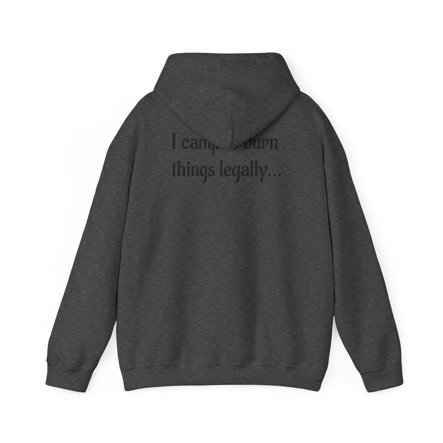 Colorful Campfire Hoodie with Fun Quote - Cozy Unisex Sweatshirt for Camping Lovers, Outdoor Adventure Gear, Unique Gift Idea