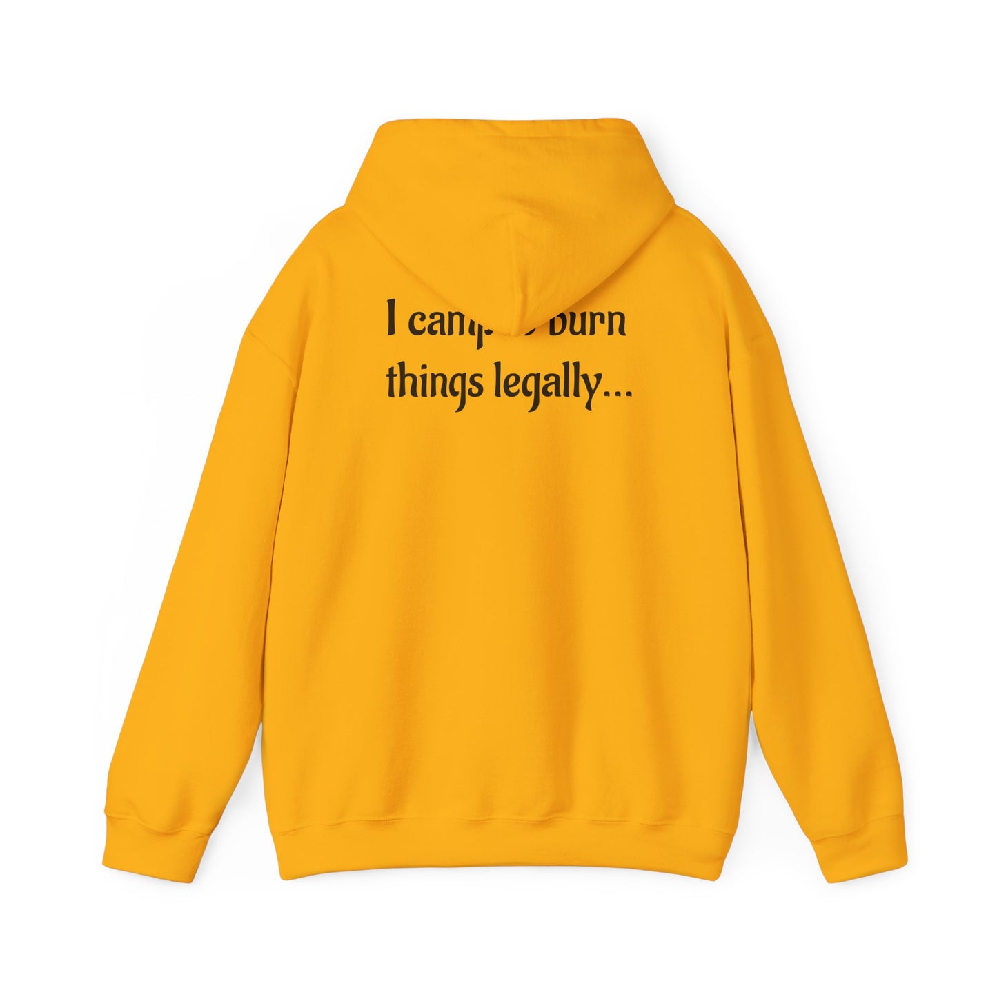 Colorful Campfire Hoodie with Fun Quote - Cozy Unisex Sweatshirt for Camping Lovers, Outdoor Adventure Gear, Unique Gift Idea