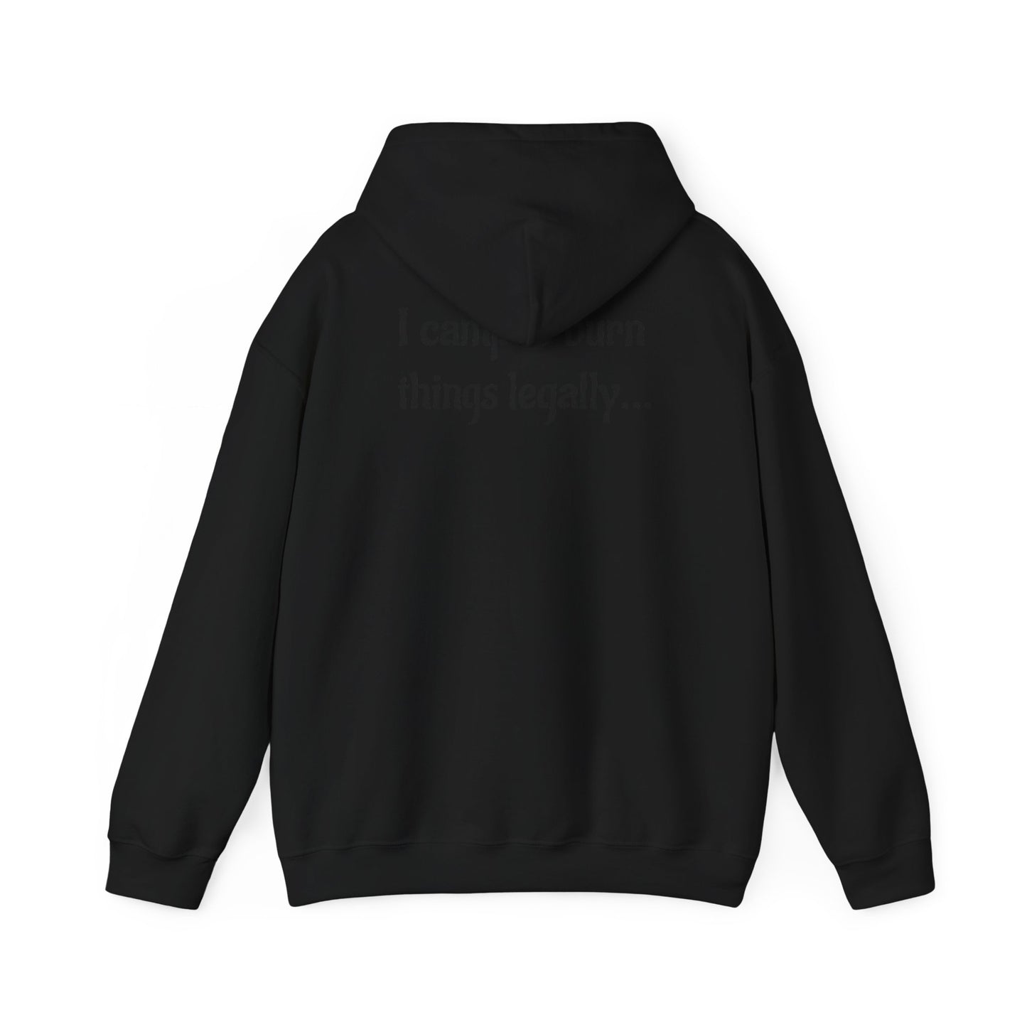 Colorful Campfire Hoodie with Fun Quote - Cozy Unisex Sweatshirt for Camping Lovers, Outdoor Adventure Gear, Unique Gift Idea