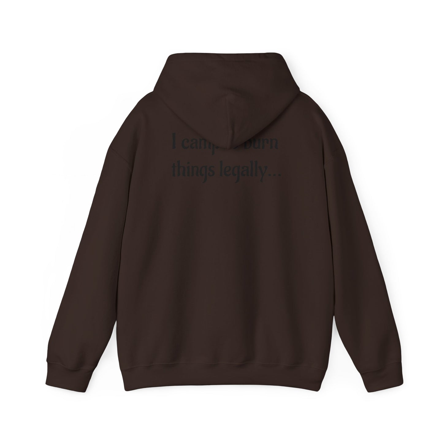 Colorful Campfire Hoodie with Fun Quote - Cozy Unisex Sweatshirt for Camping Lovers, Outdoor Adventure Gear, Unique Gift Idea