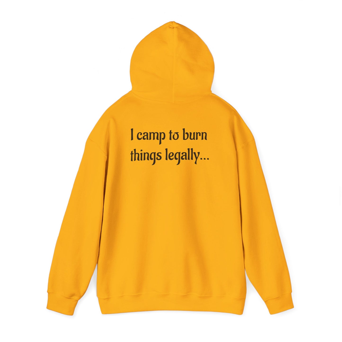 Colorful Campfire Hoodie with Fun Quote - Cozy Unisex Sweatshirt for Camping Lovers, Outdoor Adventure Gear, Unique Gift Idea