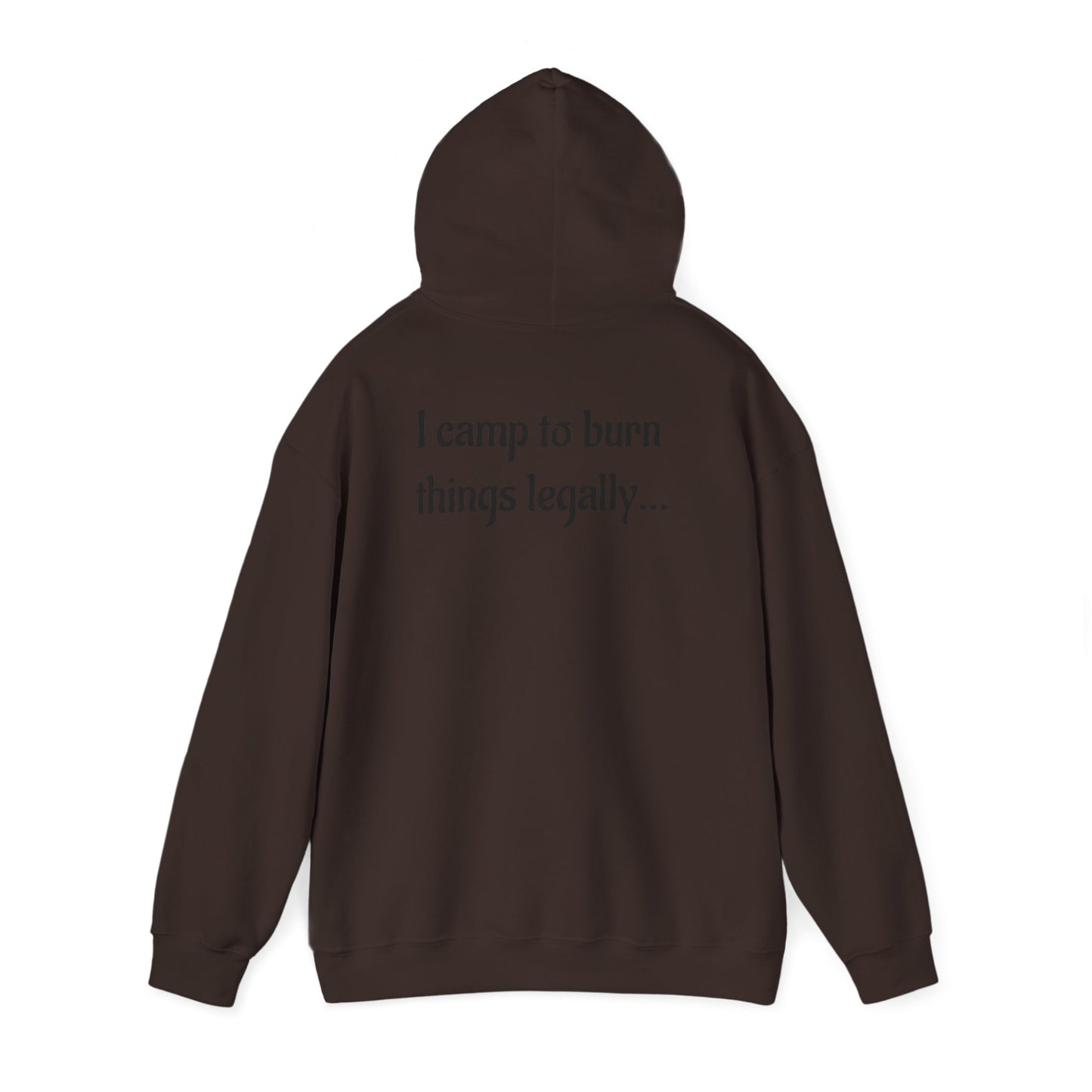 Colorful Campfire Hoodie with Fun Quote - Cozy Unisex Sweatshirt for Camping Lovers, Outdoor Adventure Gear, Unique Gift Idea